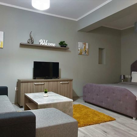 Irina Apartments Timişoara Extérieur photo