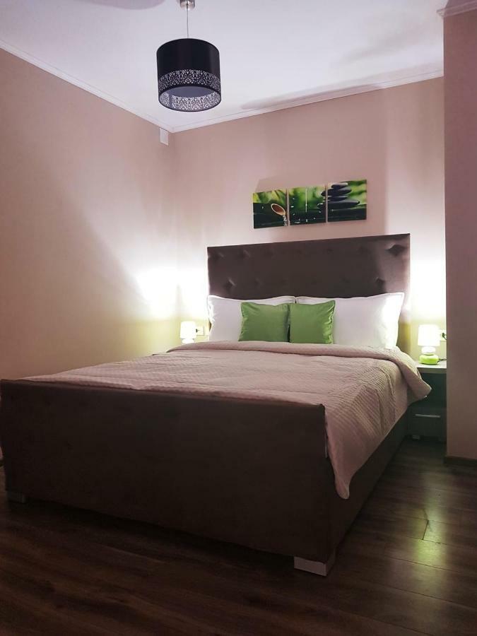 Irina Apartments Timişoara Extérieur photo