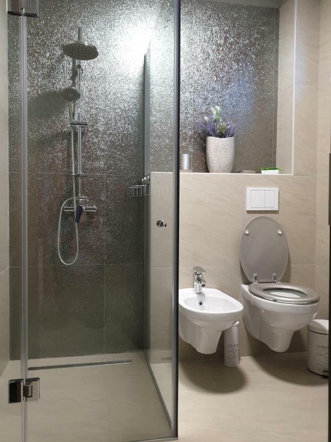 Irina Apartments Timişoara Extérieur photo