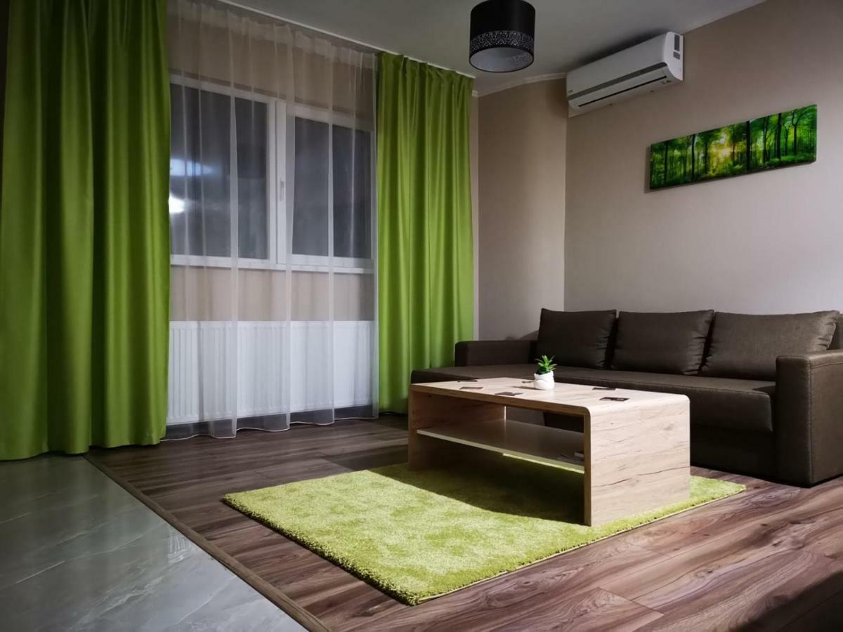 Irina Apartments Timişoara Extérieur photo