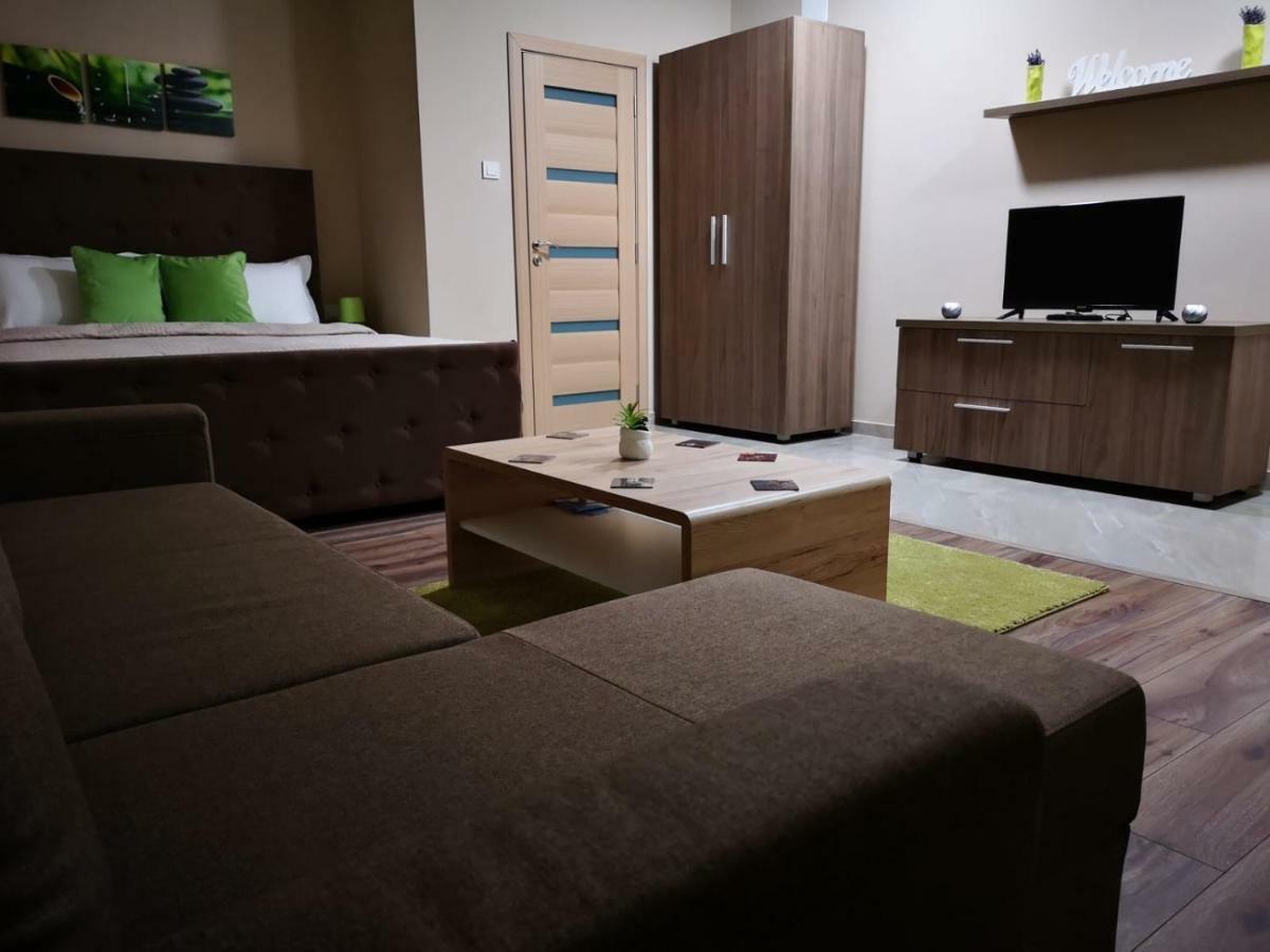 Irina Apartments Timişoara Extérieur photo