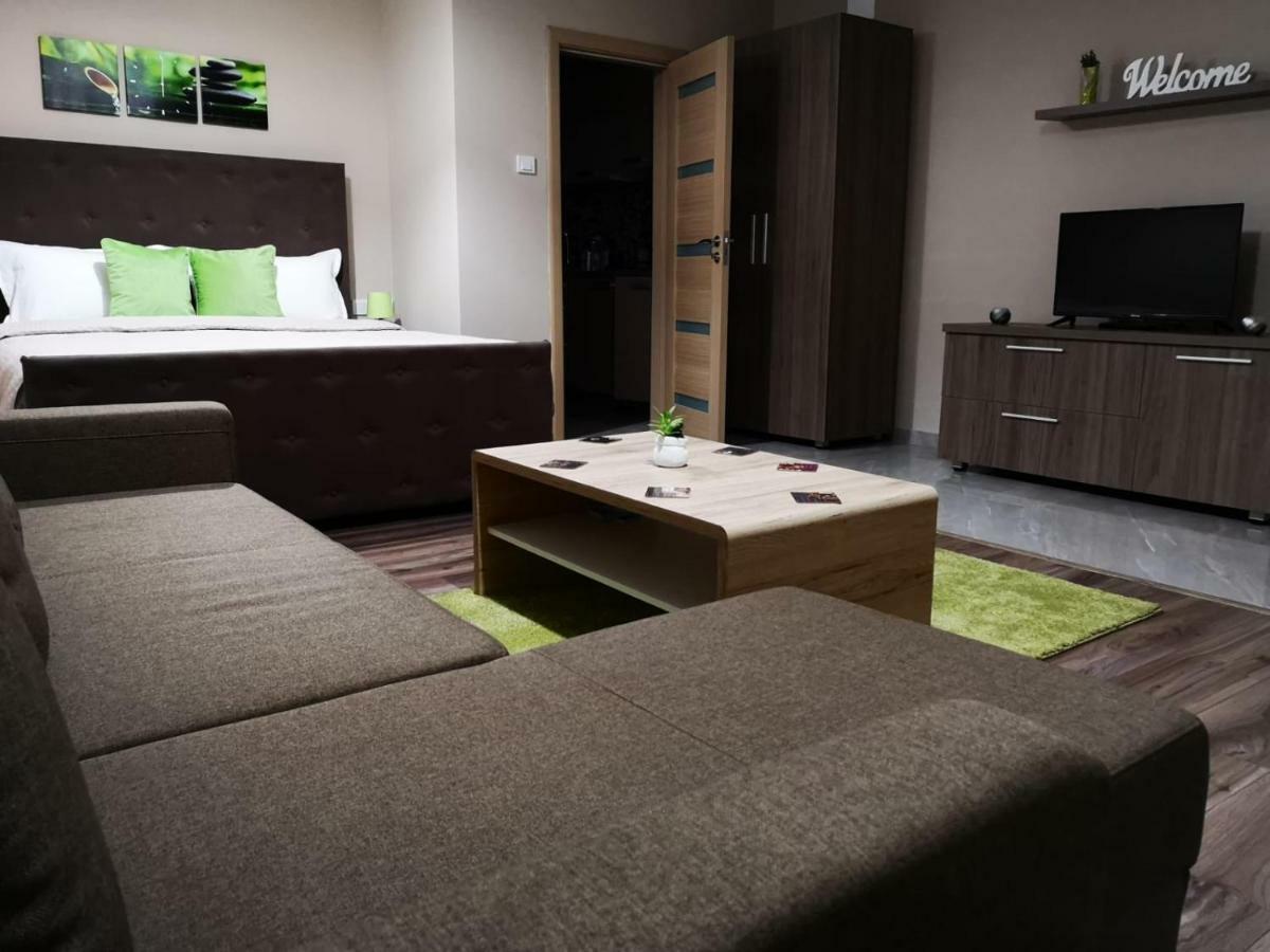 Irina Apartments Timişoara Extérieur photo